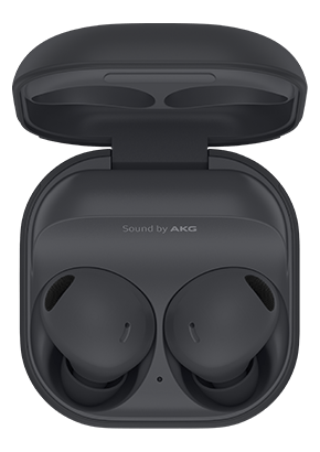 Logo-Galaxy Buds2 Pro Graphite Case